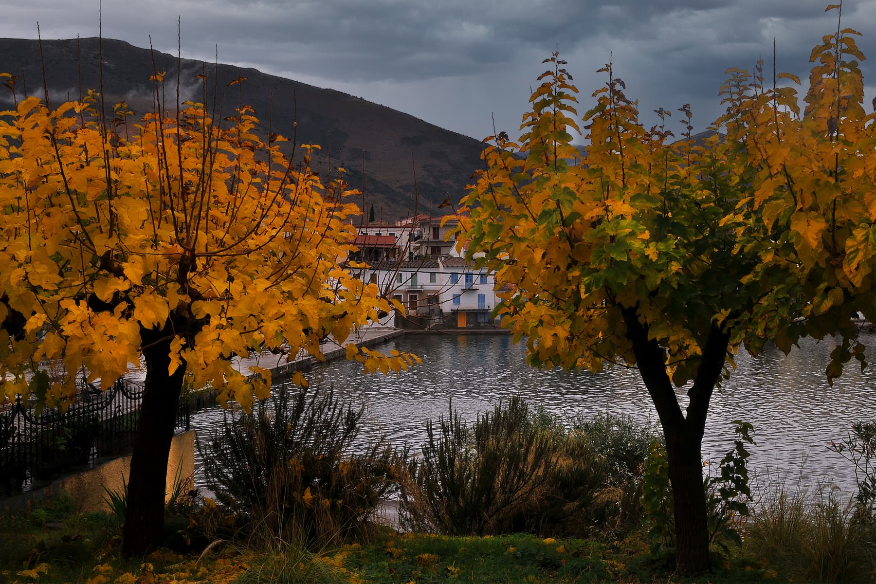 An autumn landscape in Fokida