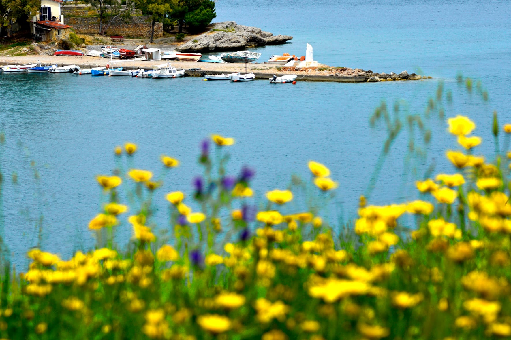The Galaxidi boatyard in spring